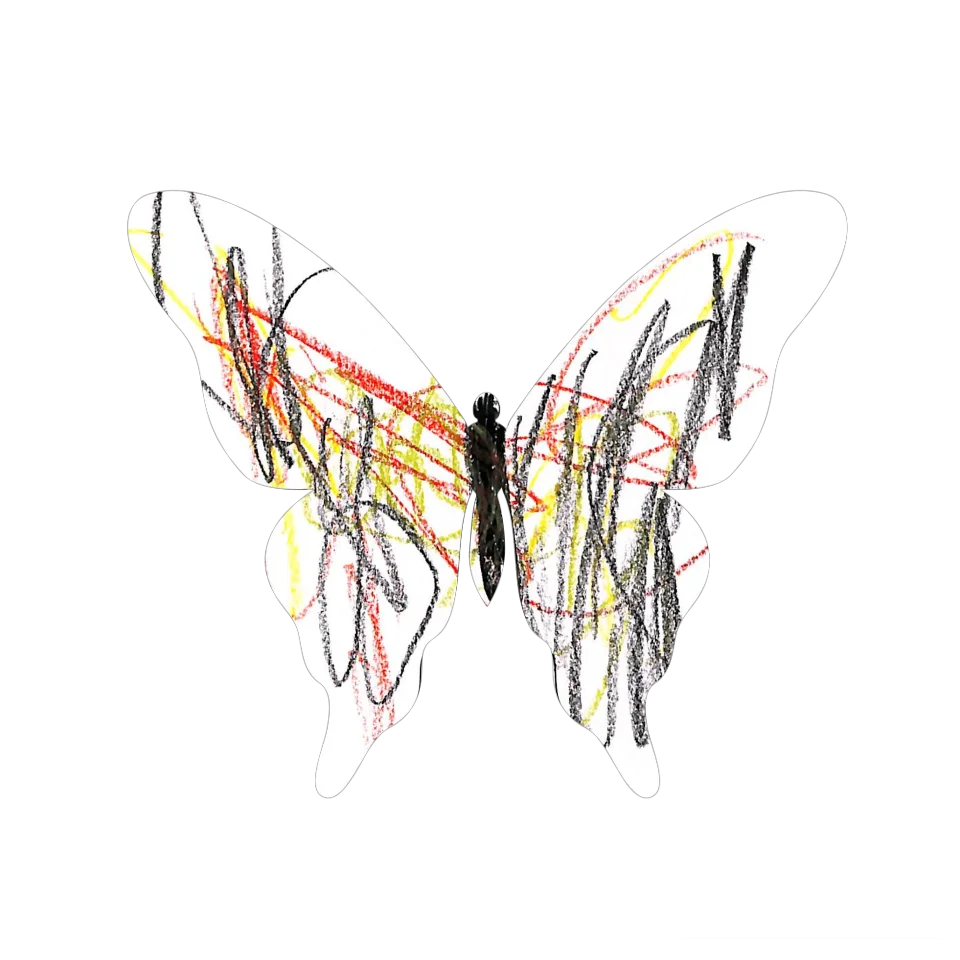 Original Butterfly Image