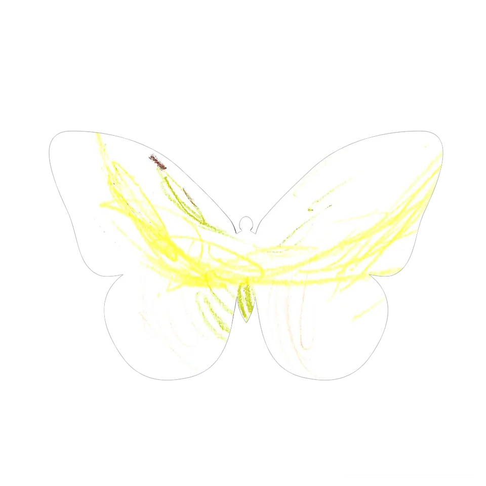 Original Butterfly Image