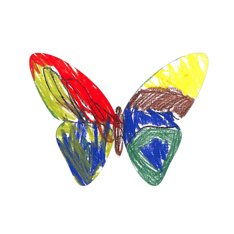 Original Butterfly Image