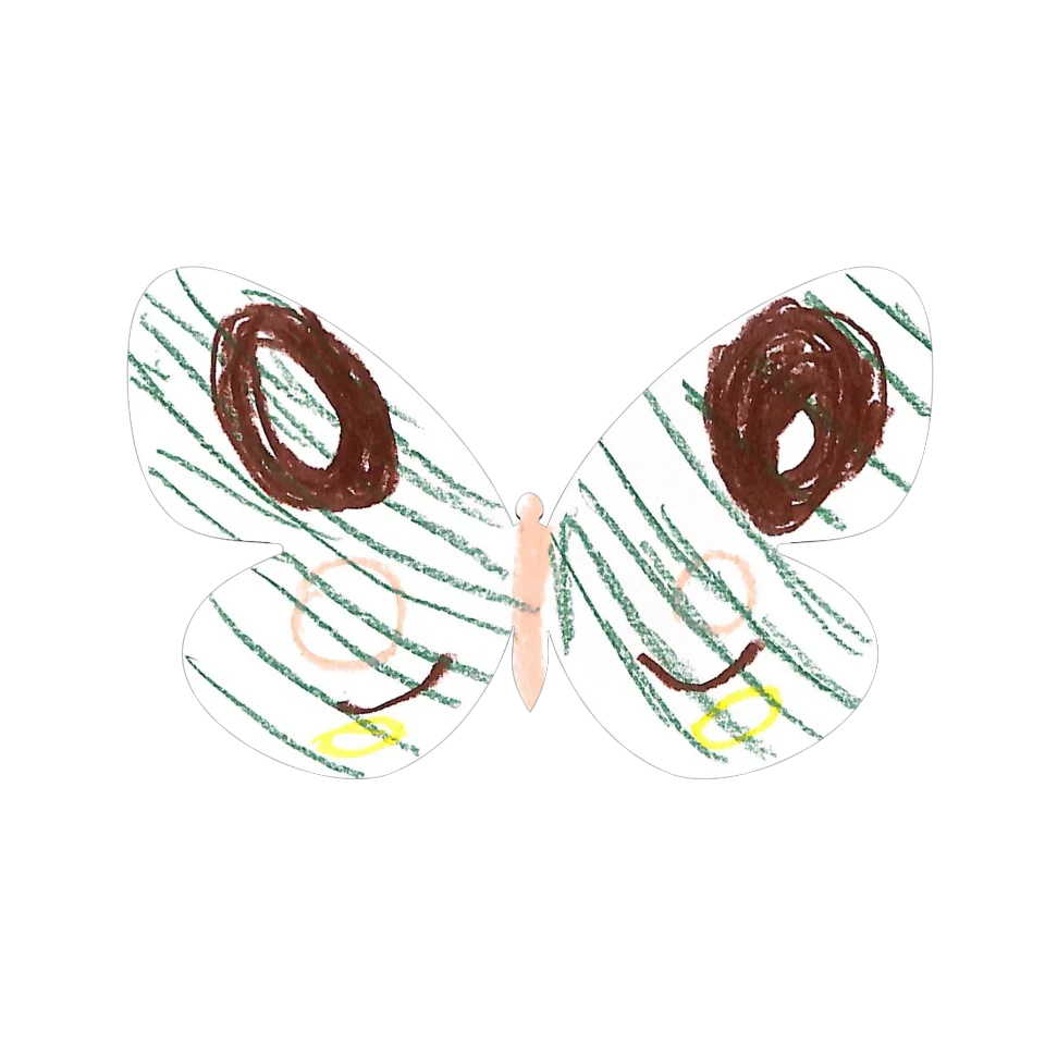 Original Butterfly Image