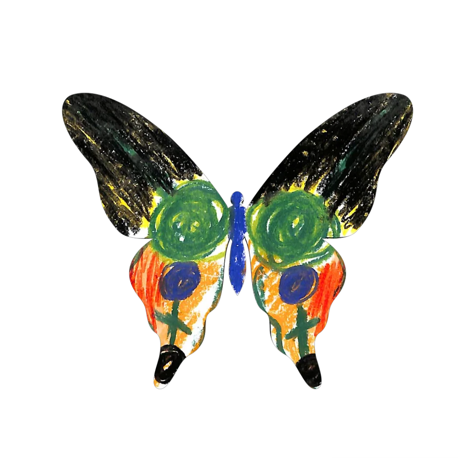 Original Butterfly Image