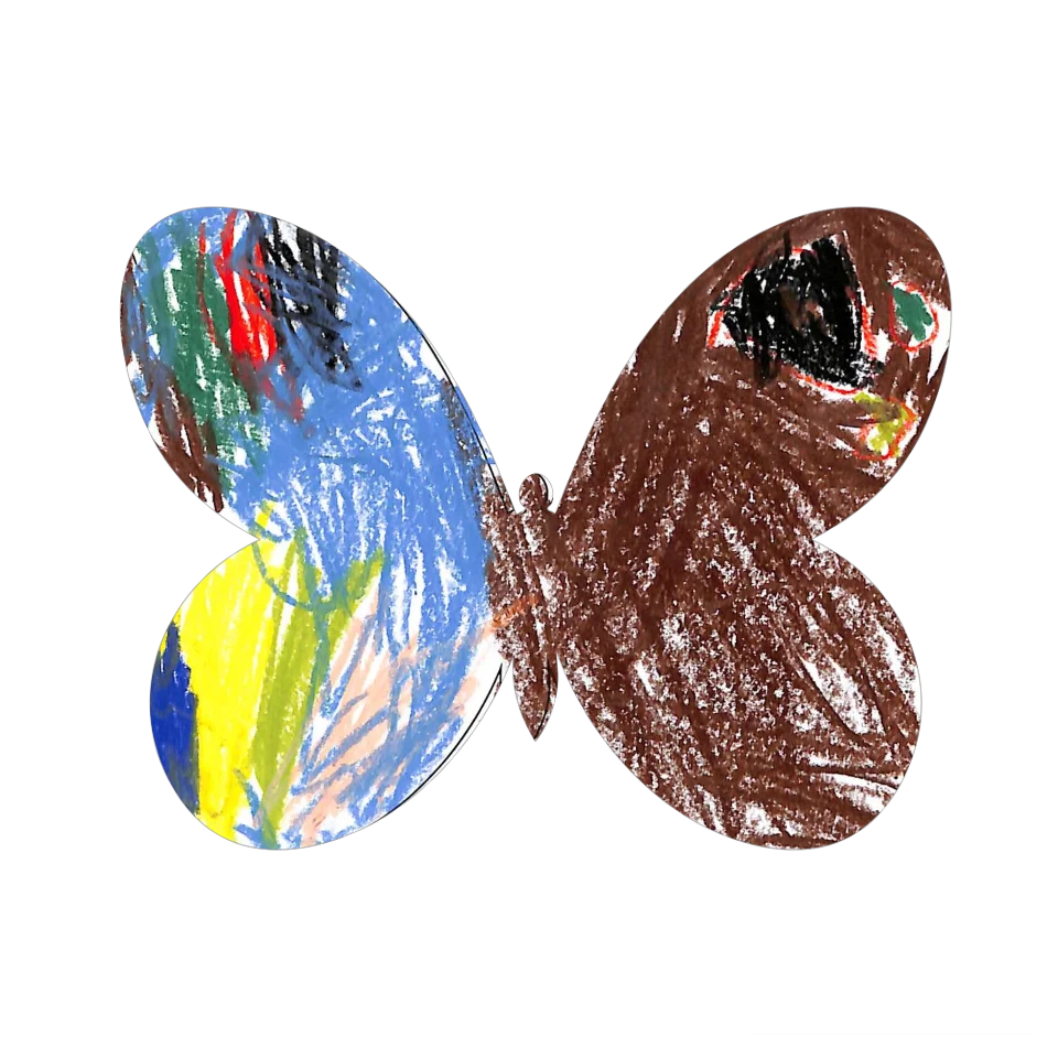 Original Butterfly Image