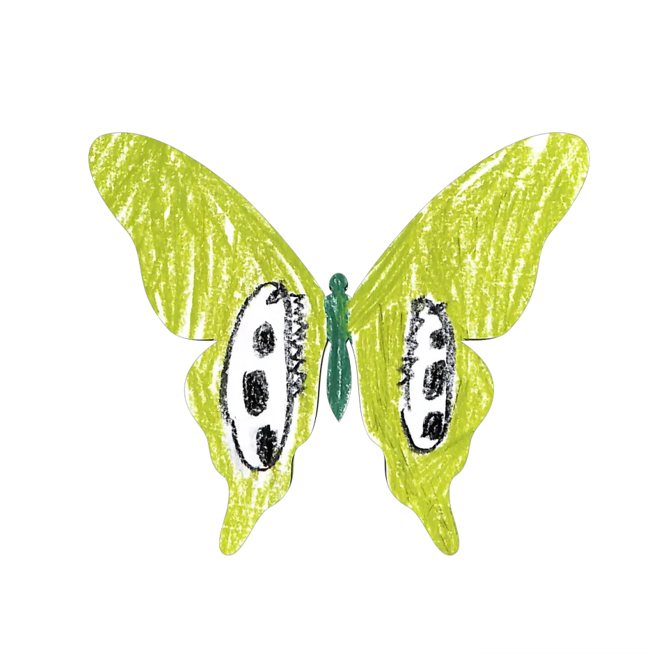 Original Butterfly Image