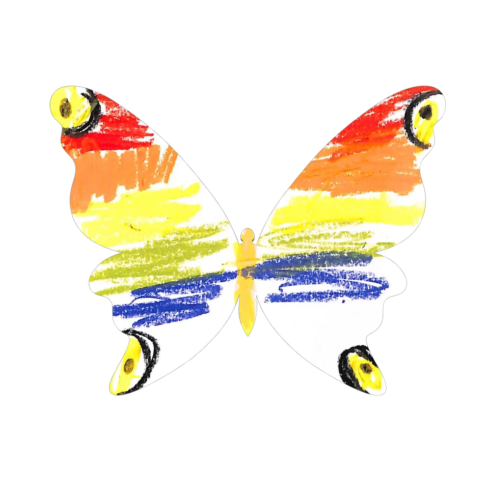 Original Butterfly Image