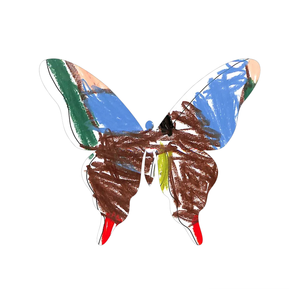 Original Butterfly Image