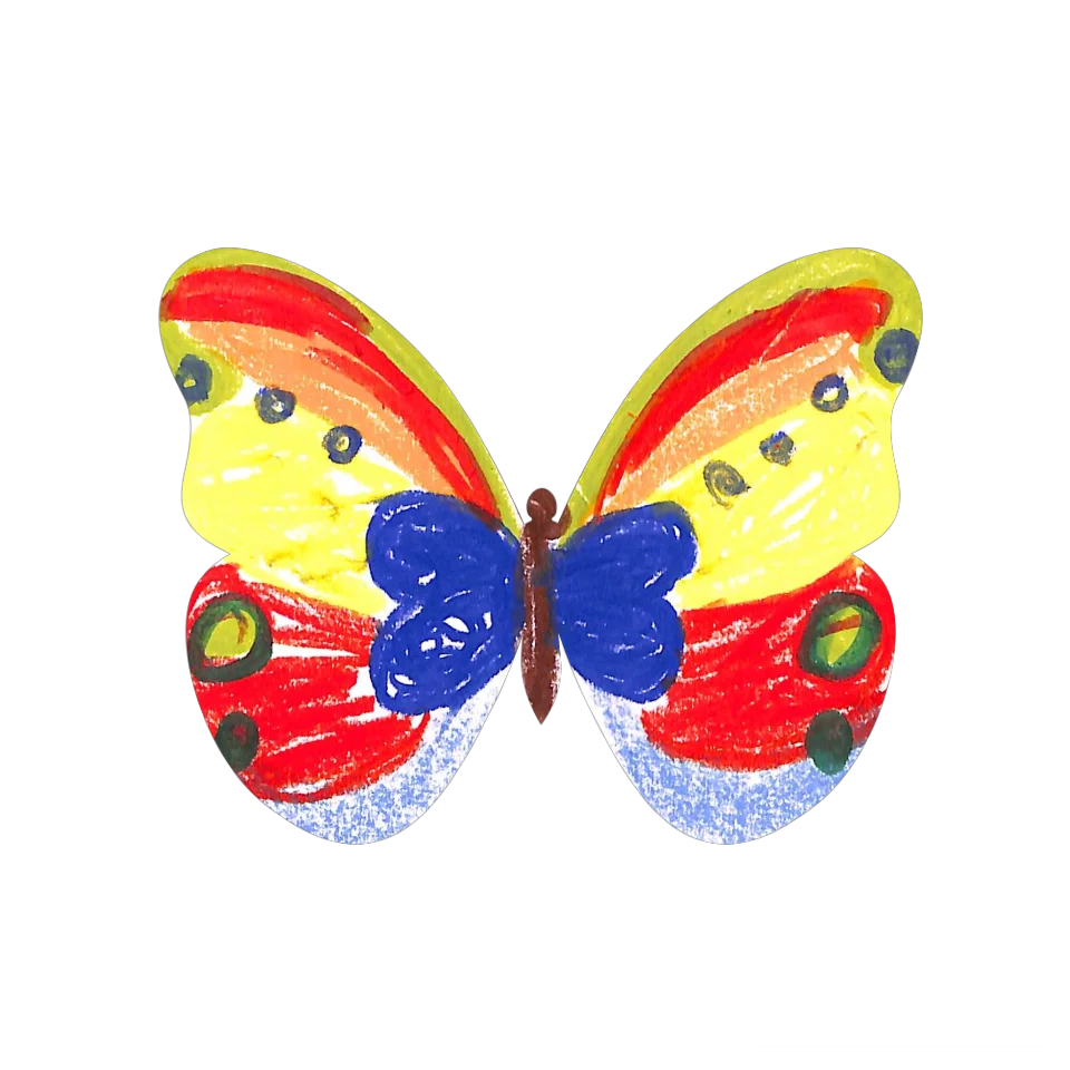 Original Butterfly Image