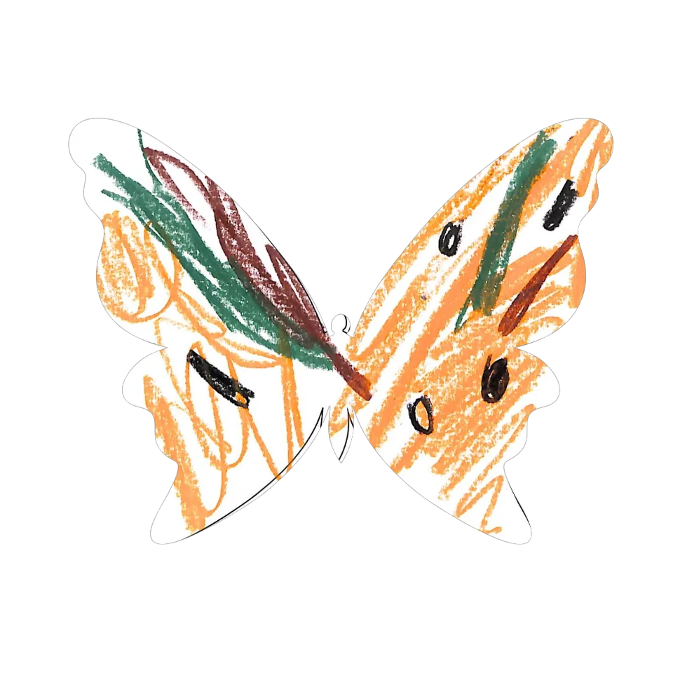 Original Butterfly Image