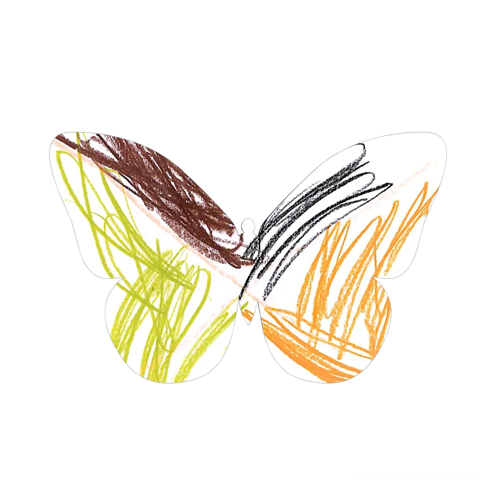 Original Butterfly Image