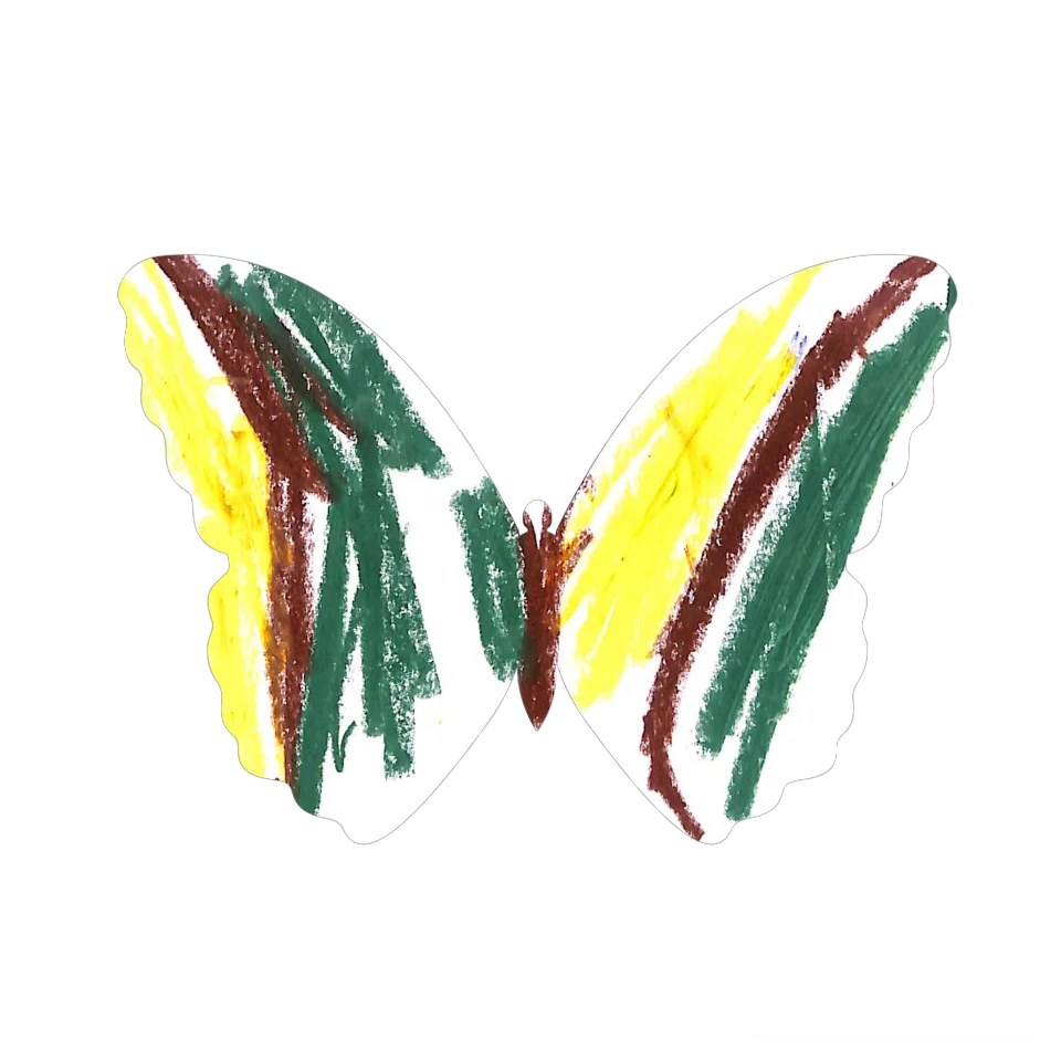 Original Butterfly Image