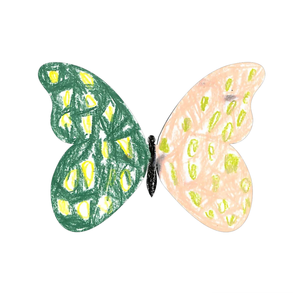 Original Butterfly Image