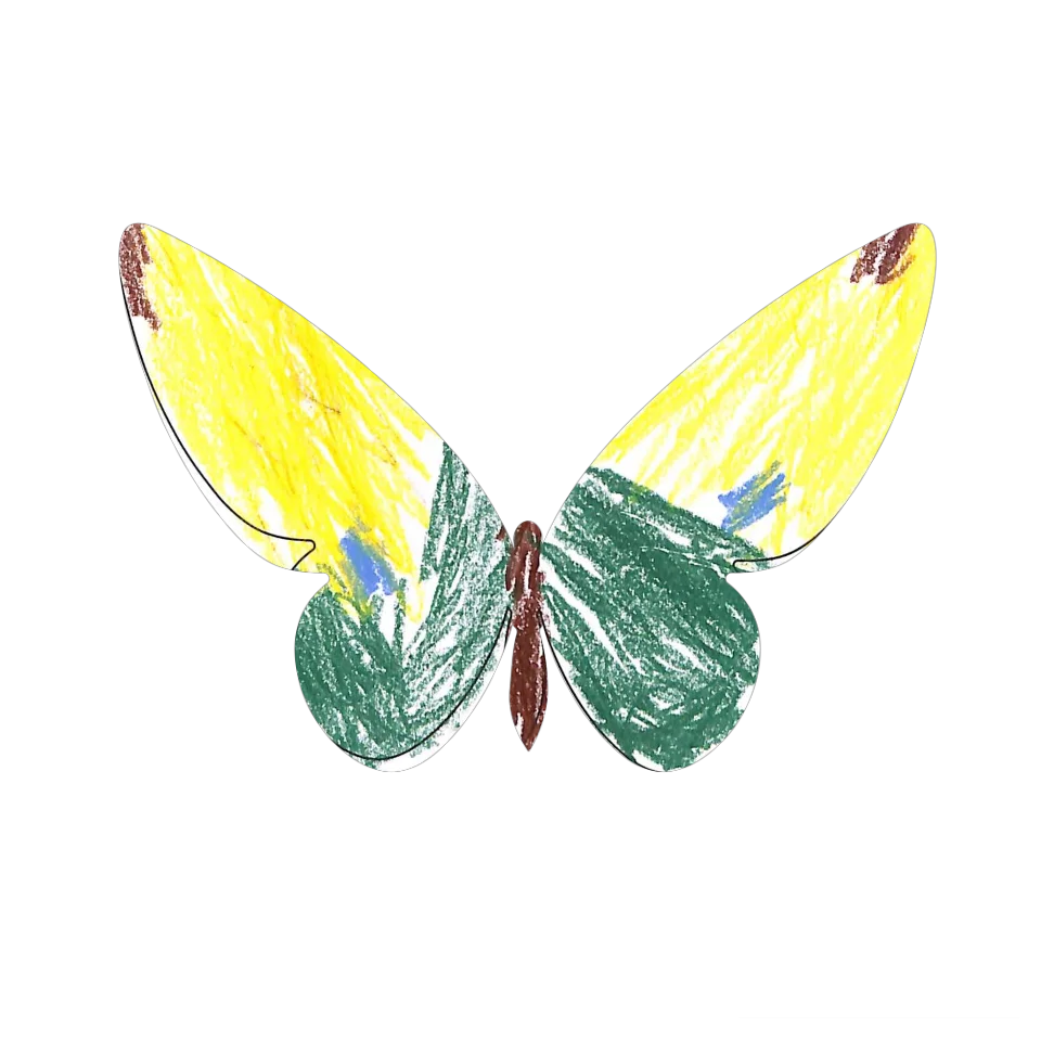 Original Butterfly Image