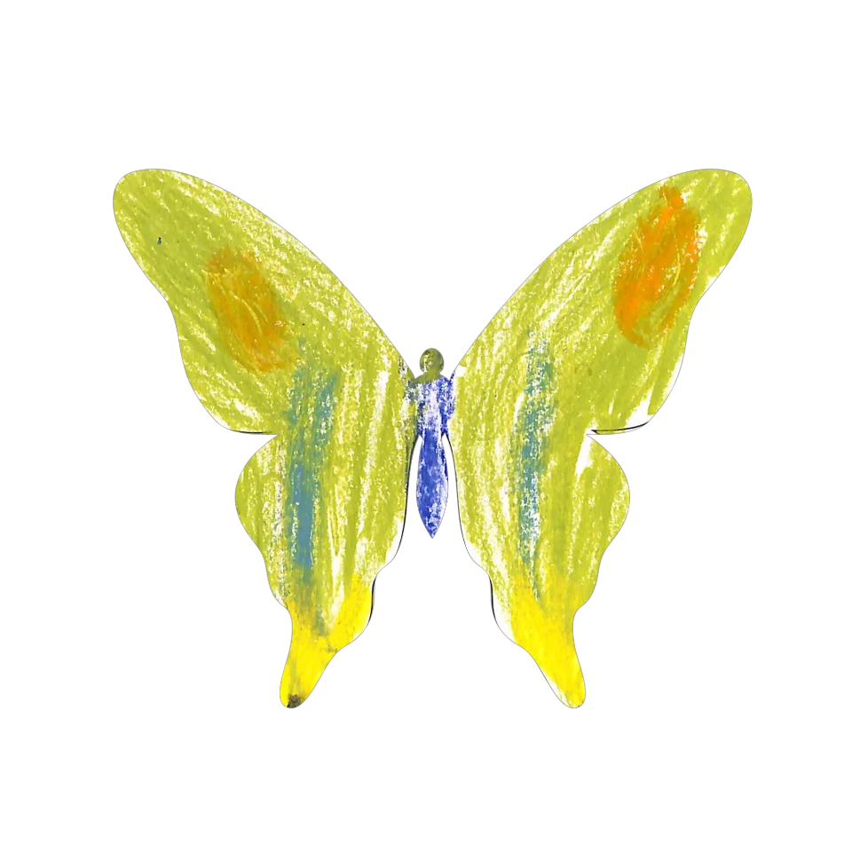 Original Butterfly Image