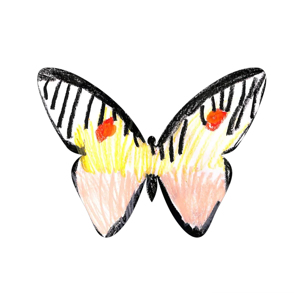 Original Butterfly Image
