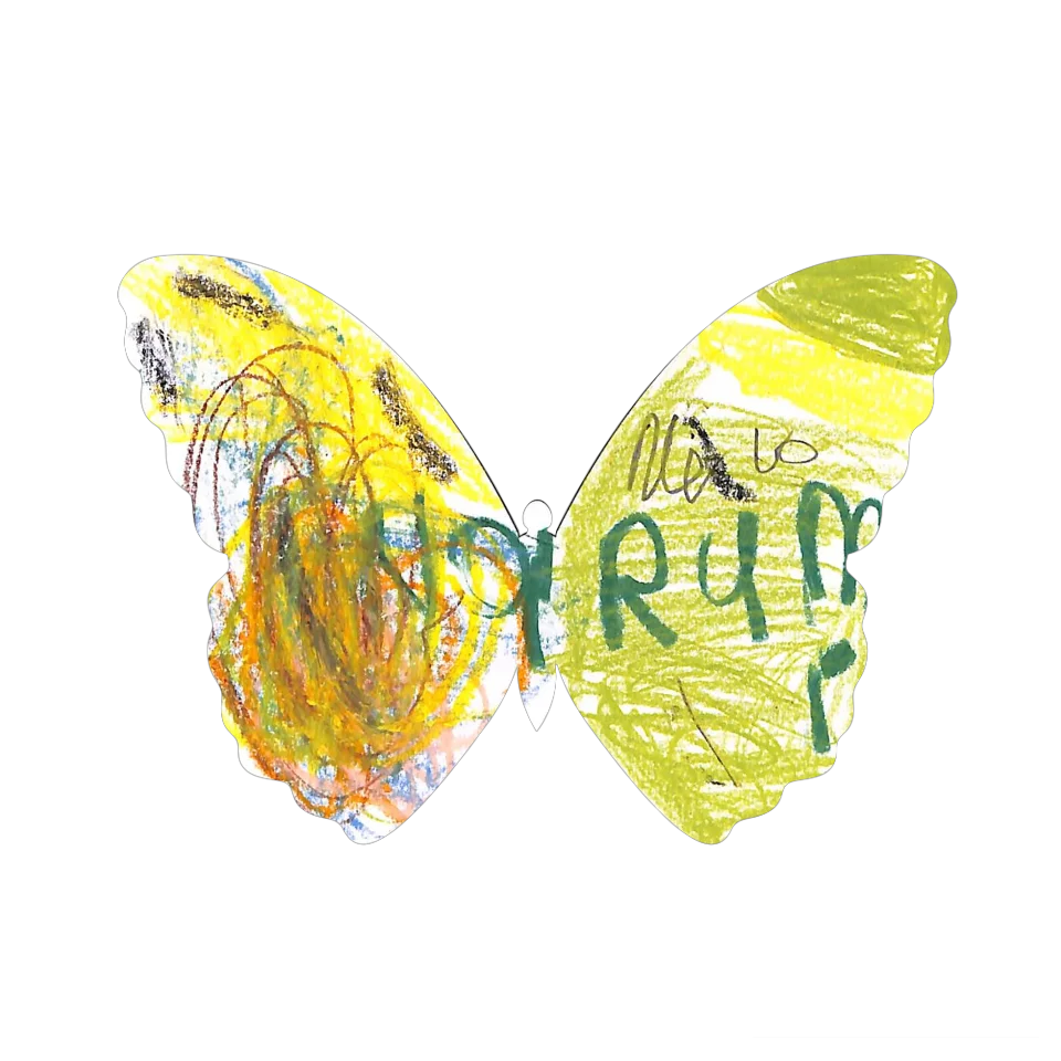 Original Butterfly Image