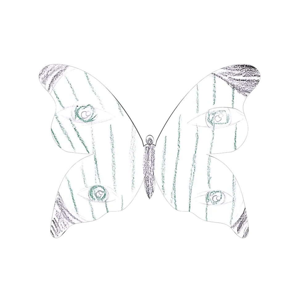 Original Butterfly Image
