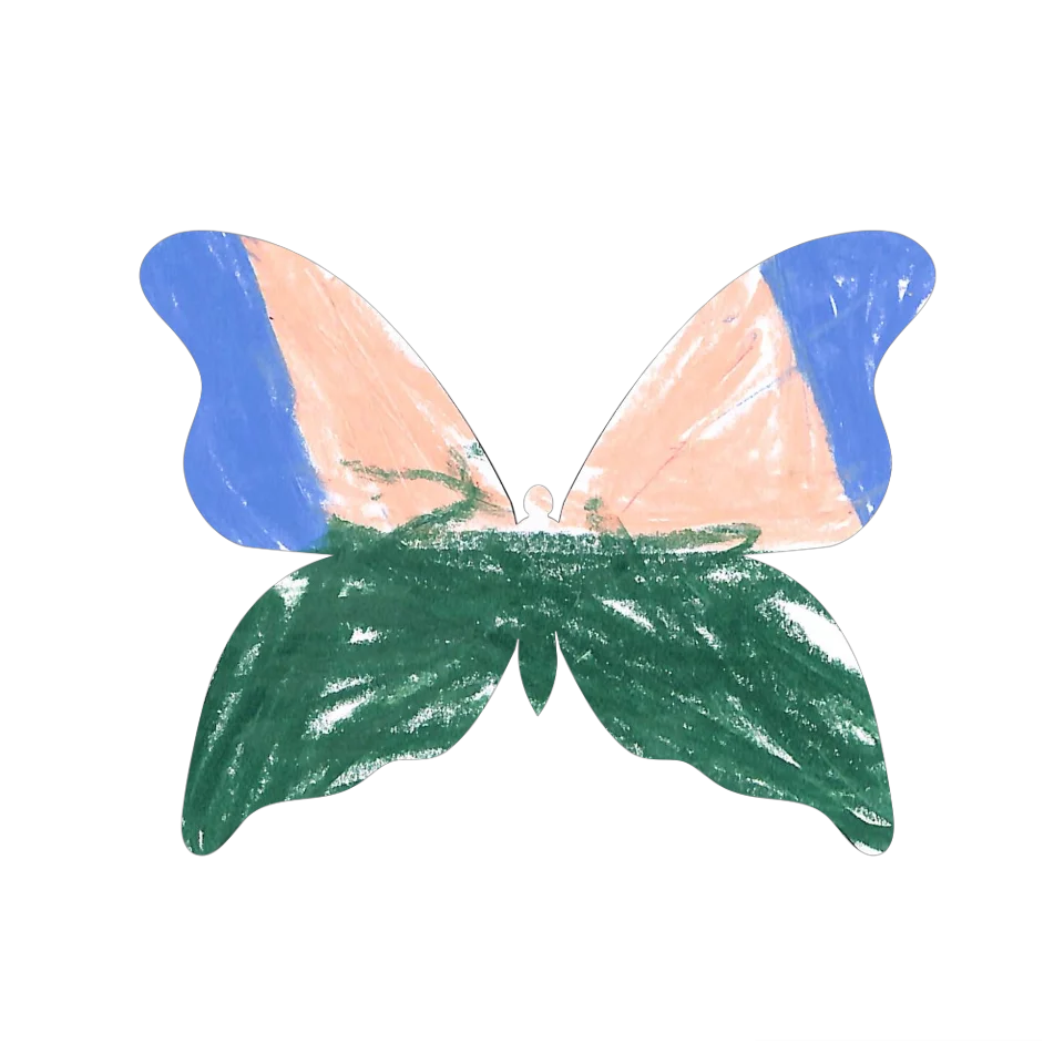Original Butterfly Image