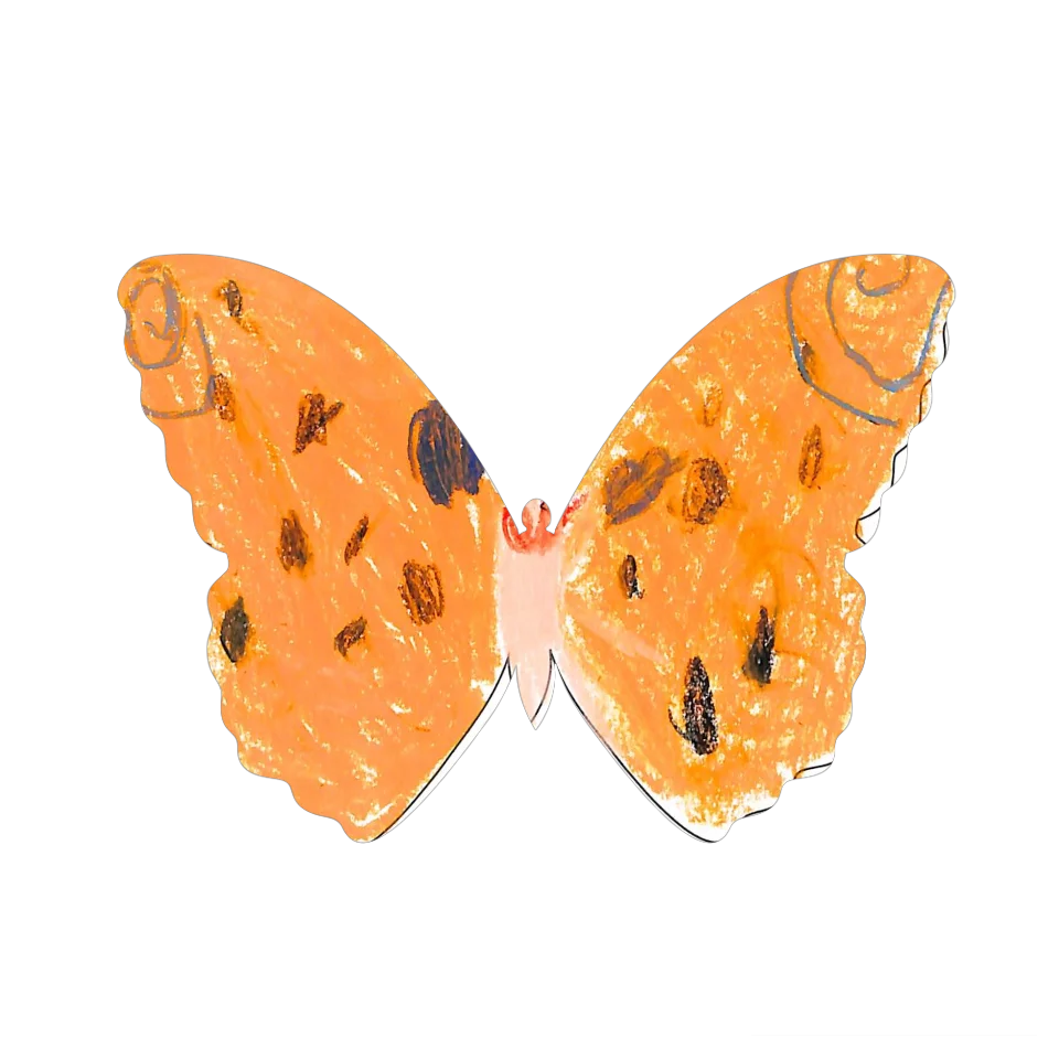 Original Butterfly Image