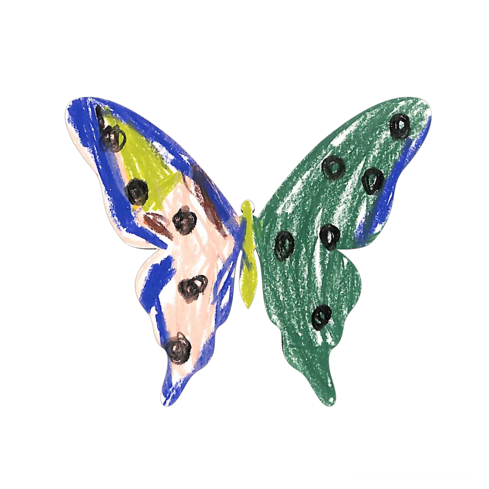 Original Butterfly Image