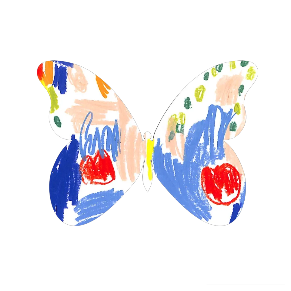 Original Butterfly Image