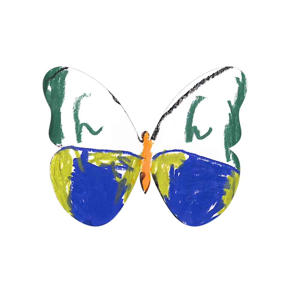Original Butterfly Image