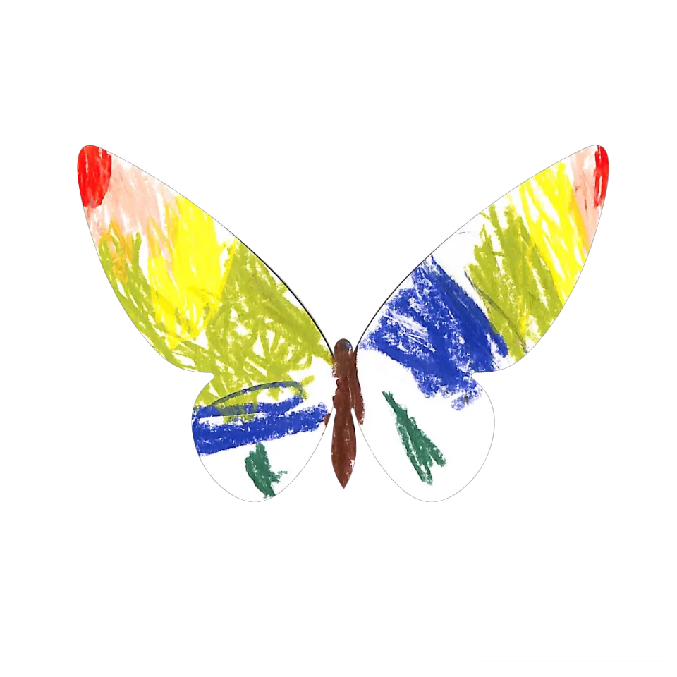 Original Butterfly Image