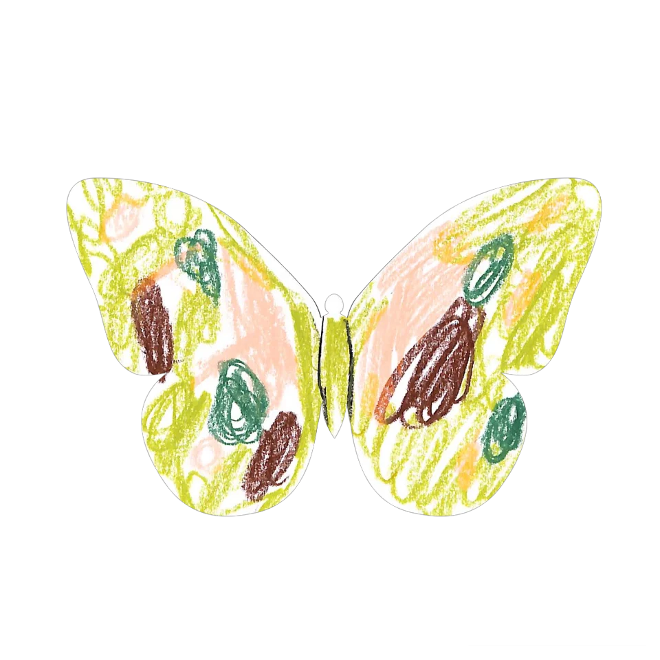 Original Butterfly Image