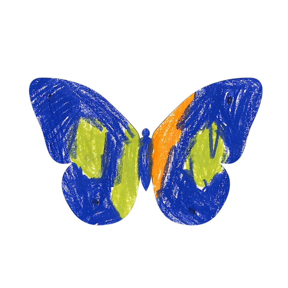 Original Butterfly Image