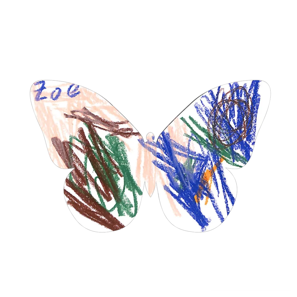 Original Butterfly Image