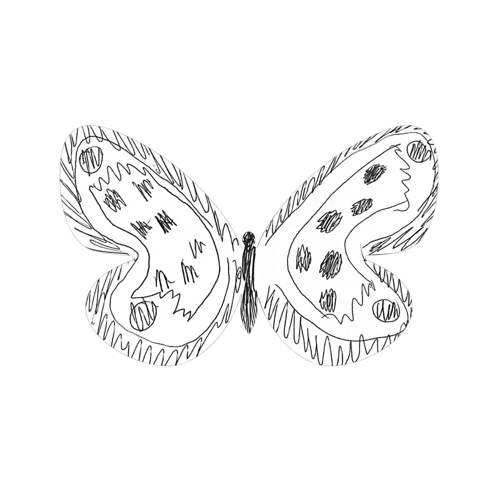 Original Butterfly Image