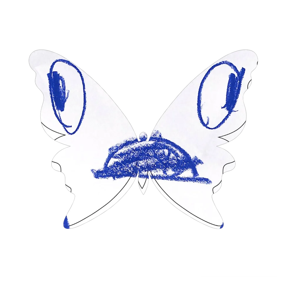 Original Butterfly Image