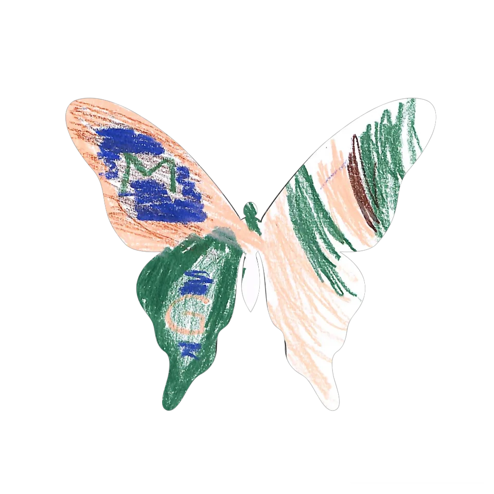 Original Butterfly Image