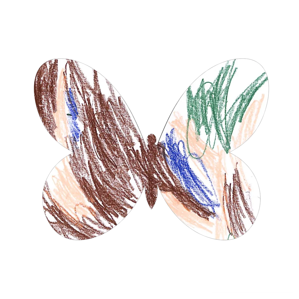 Original Butterfly Image