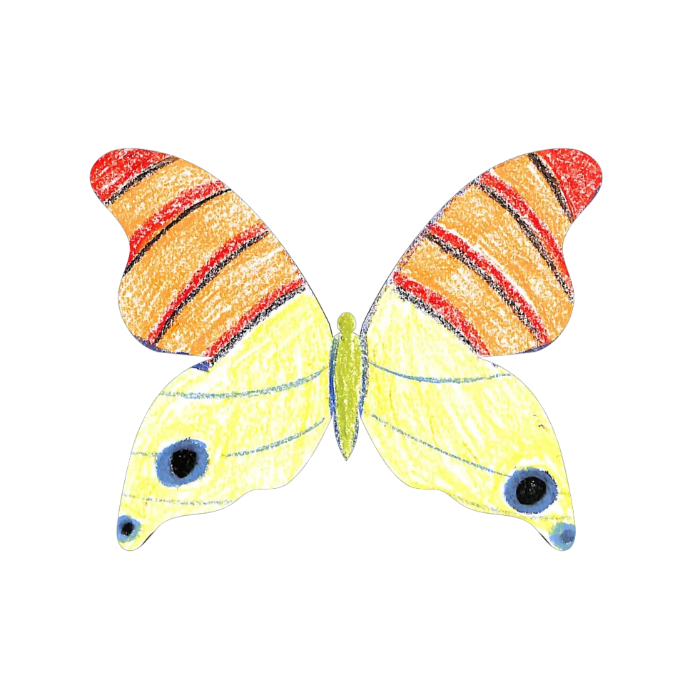 Original Butterfly Image