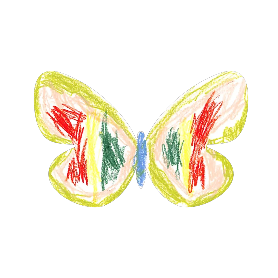 Original Butterfly Image
