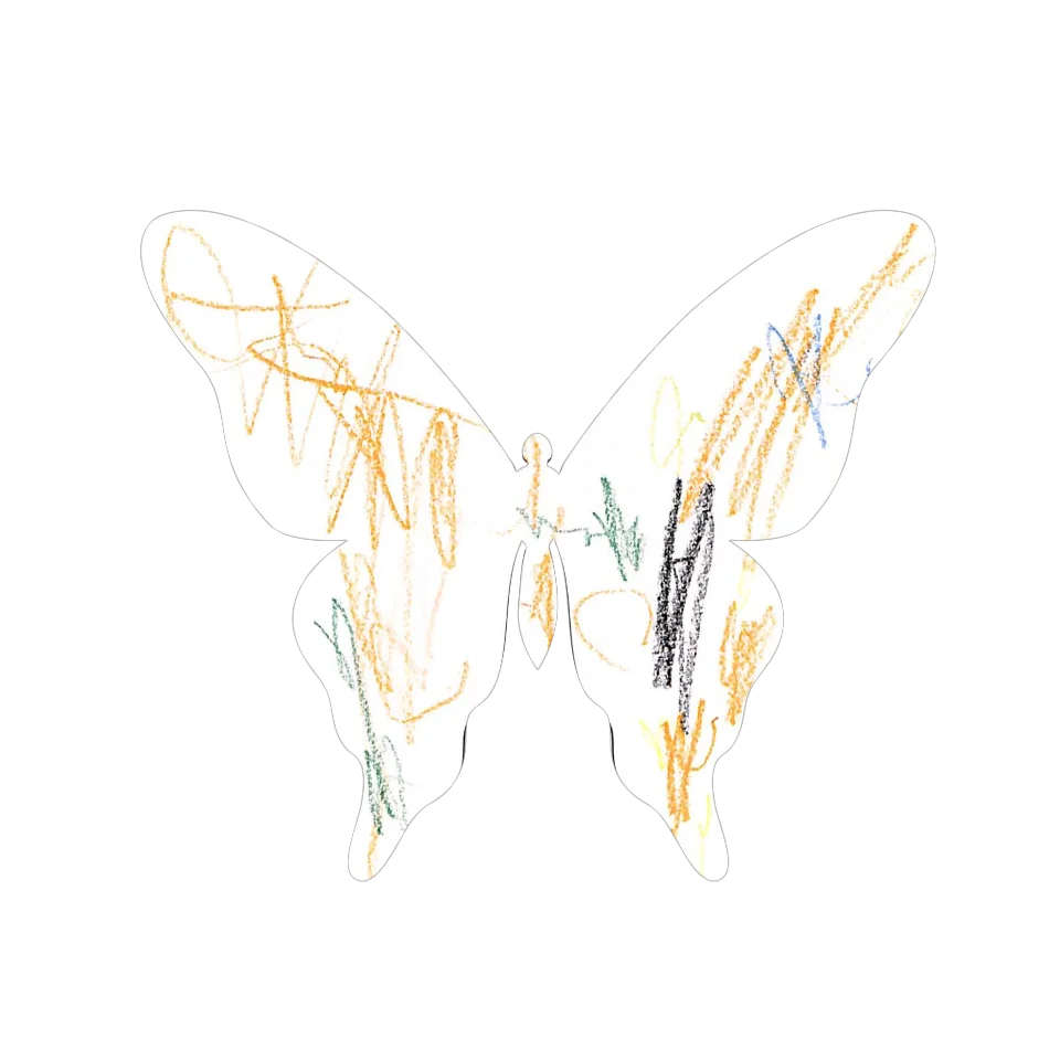 Original Butterfly Image