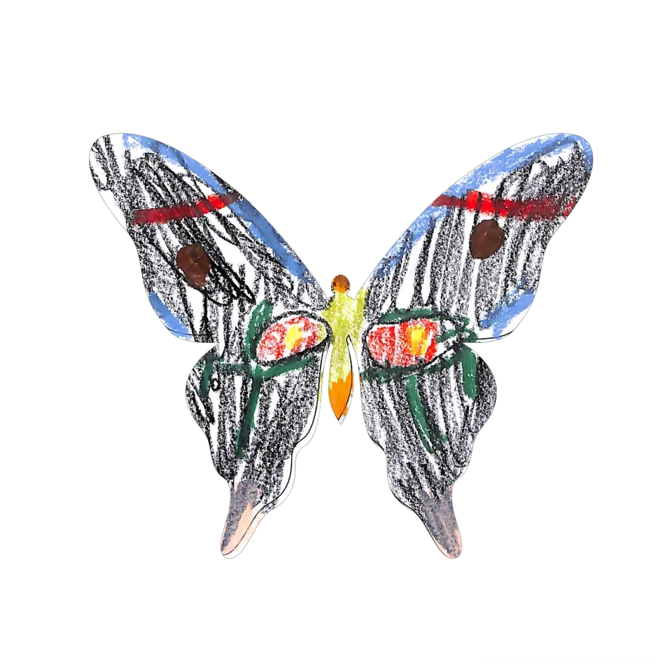 Original Butterfly Image