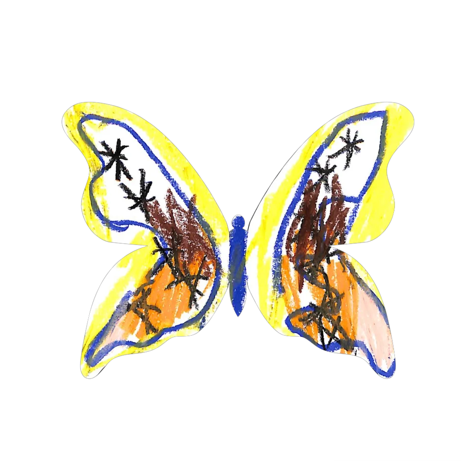 Original Butterfly Image