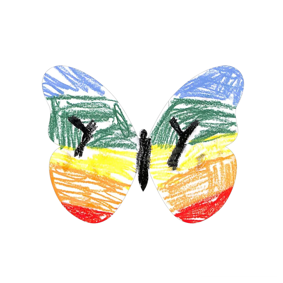 Original Butterfly Image