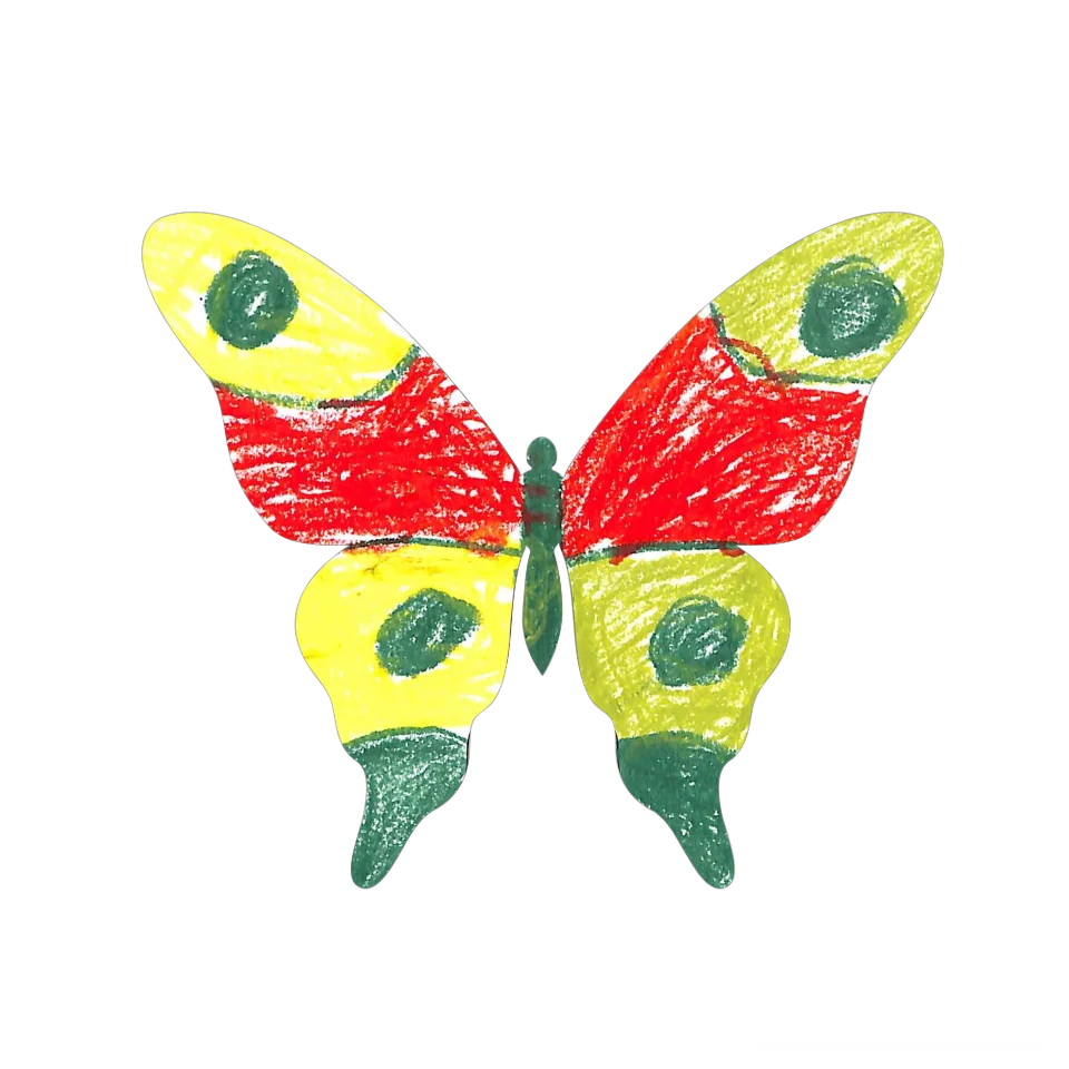 Original Butterfly Image