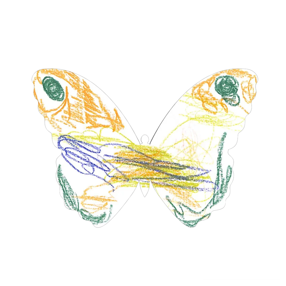 Original Butterfly Image