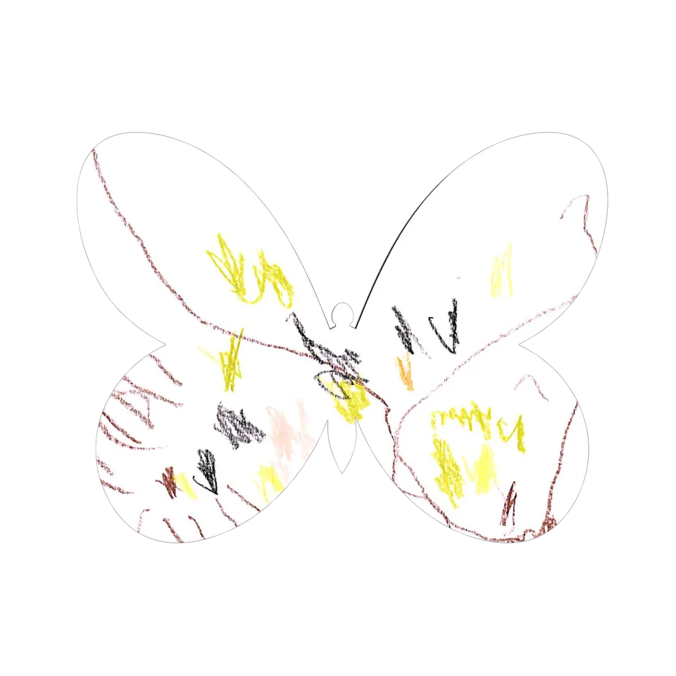 Original Butterfly Image