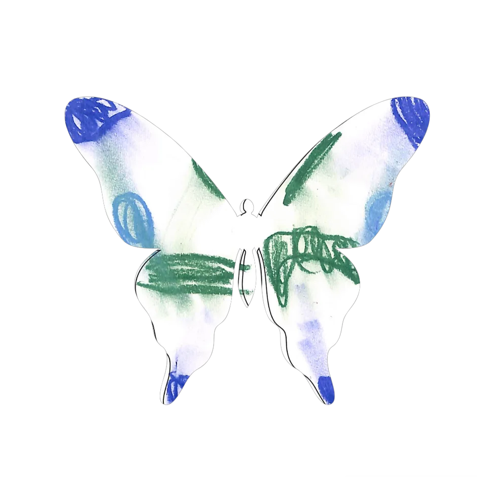 Original Butterfly Image