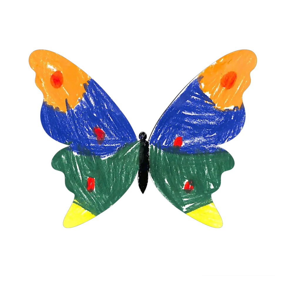Original Butterfly Image