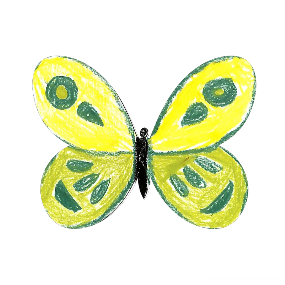 Original Butterfly Image