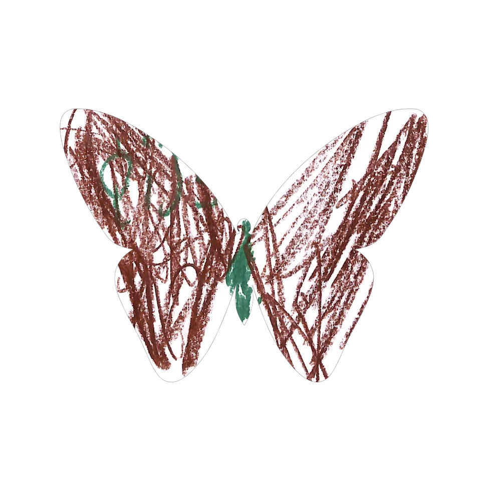 Original Butterfly Image