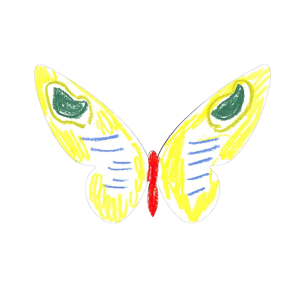 Original Butterfly Image