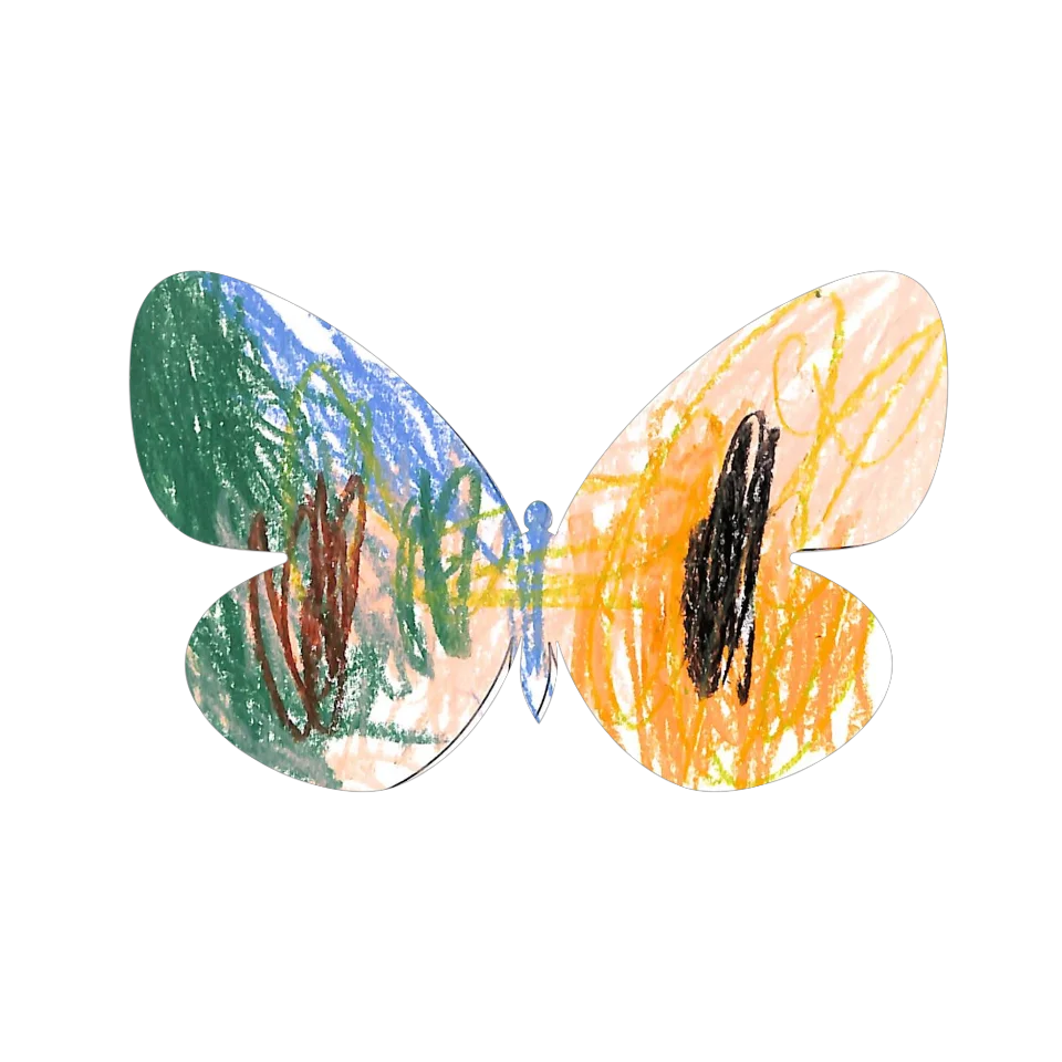 Original Butterfly Image