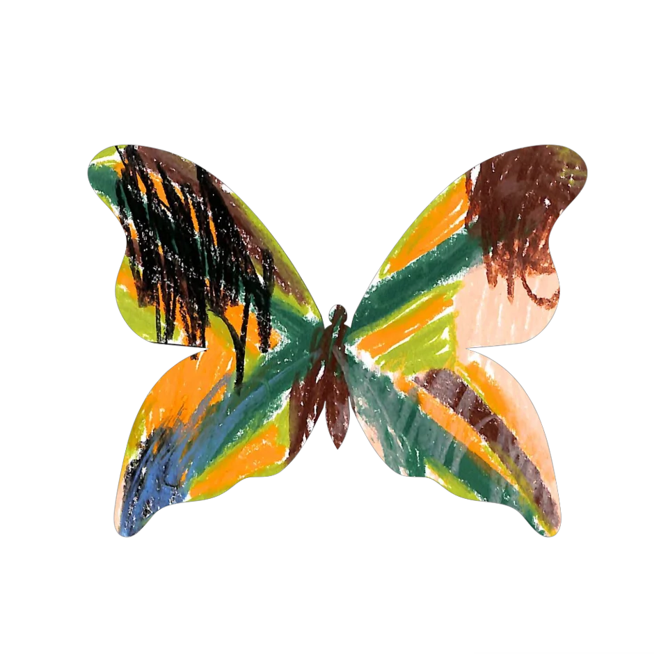 Original Butterfly Image