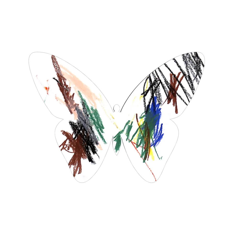 Original Butterfly Image