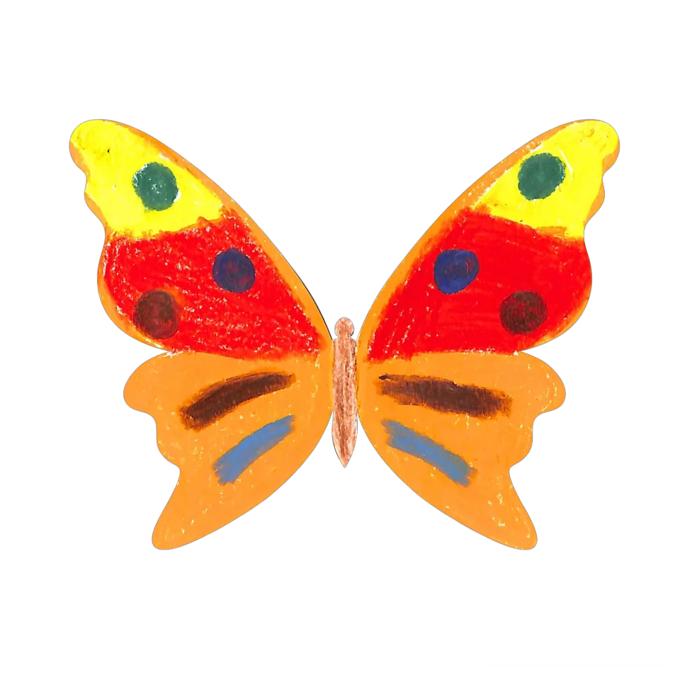 Original Butterfly Image